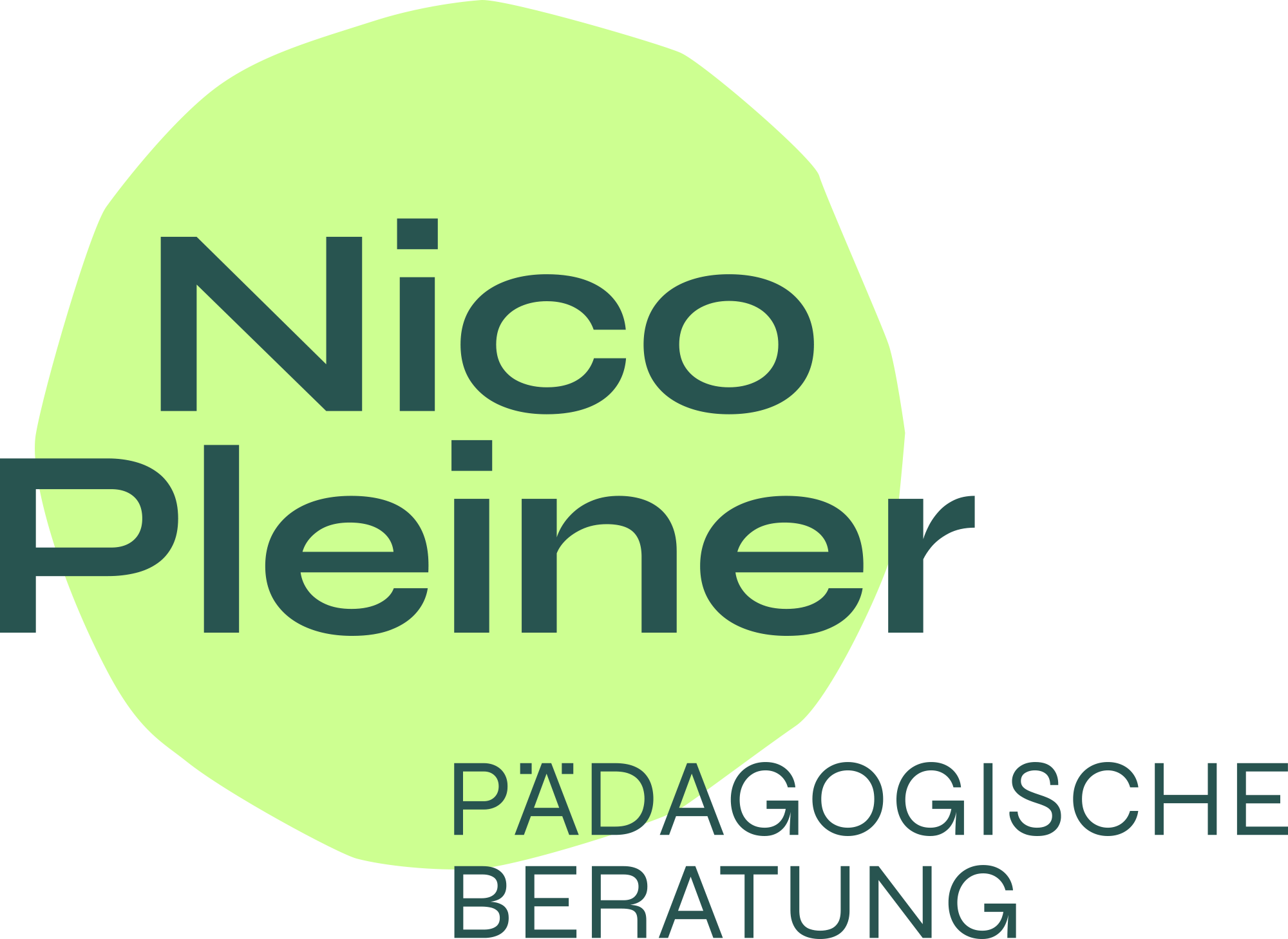 Nico Pleiner – Pädagogische Beratung